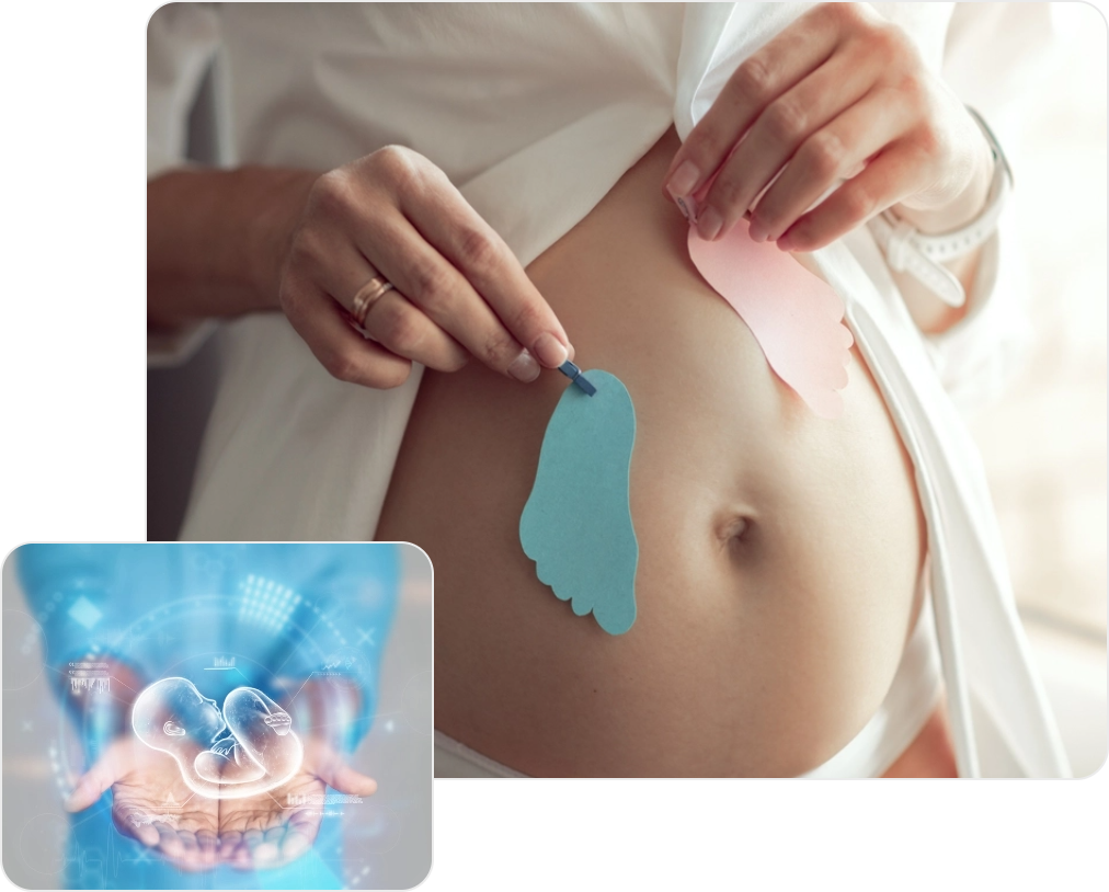 Health_Packages_icon